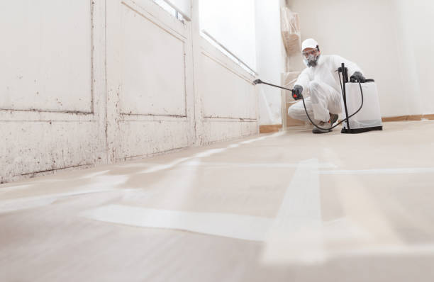 24/7 Emergency Basement Mold Remediation experts in Westwood, PA